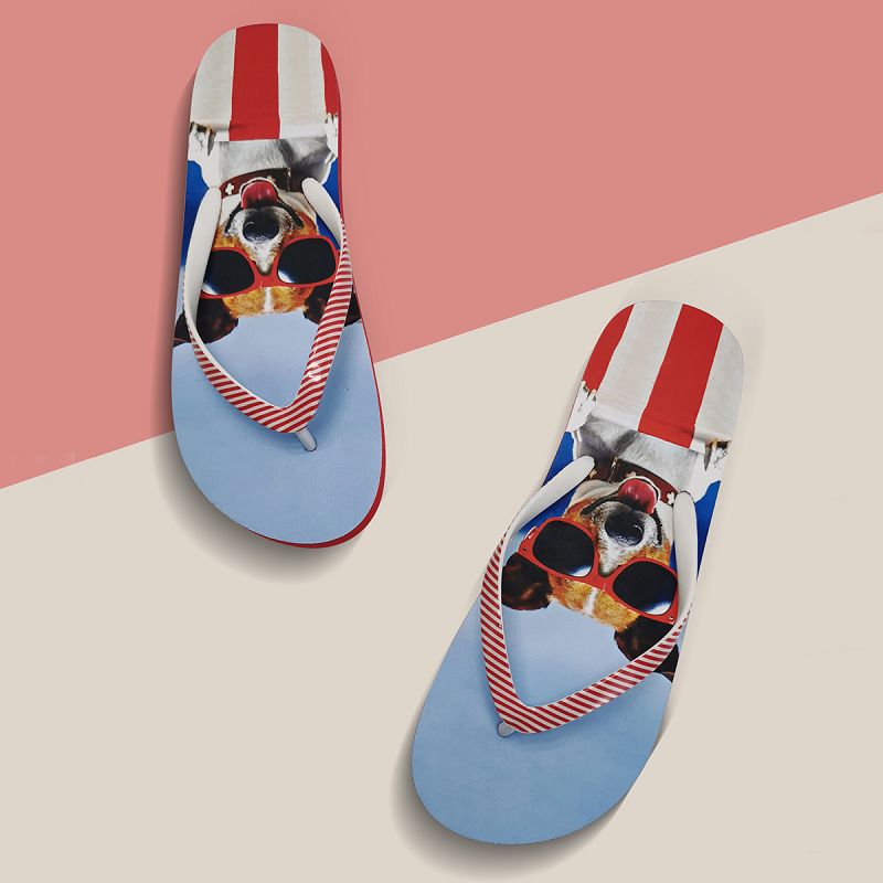 Cute animal slippers