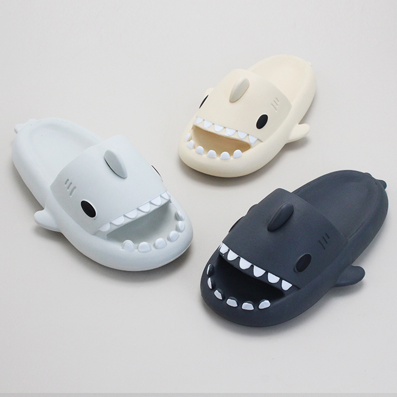 Cloud Shark Slides