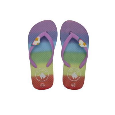 rubber flip flop